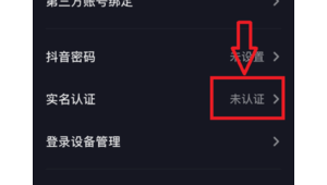 抖音实名小号购买批发，轻松获取多样账号资源